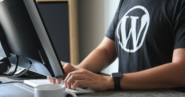 Web Development using WordPress